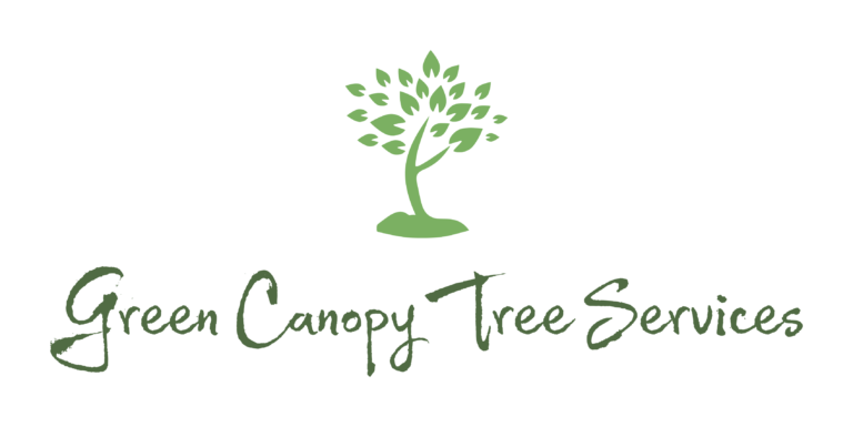 Home - Green Canopy Tree Services